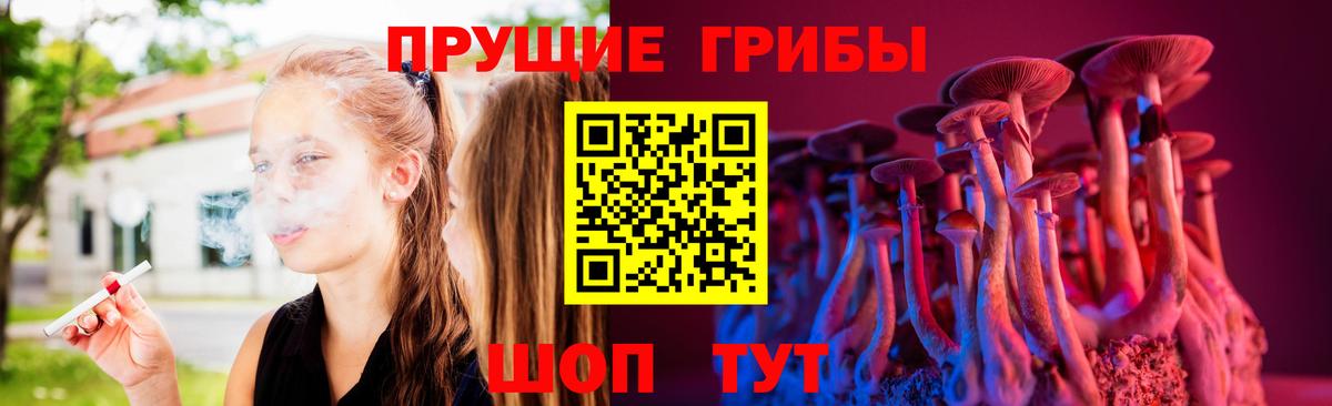 Галлюциногенные грибы прущие грибы Норильск